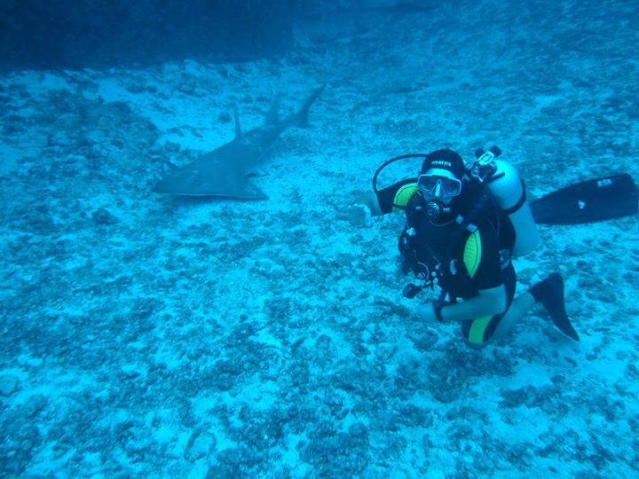 UDI Open Water Diver - základní potápěčský kurz